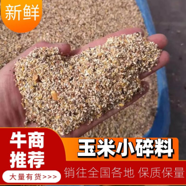 碎玉米大量供应河南产地直发可用作饲料量大价格优惠