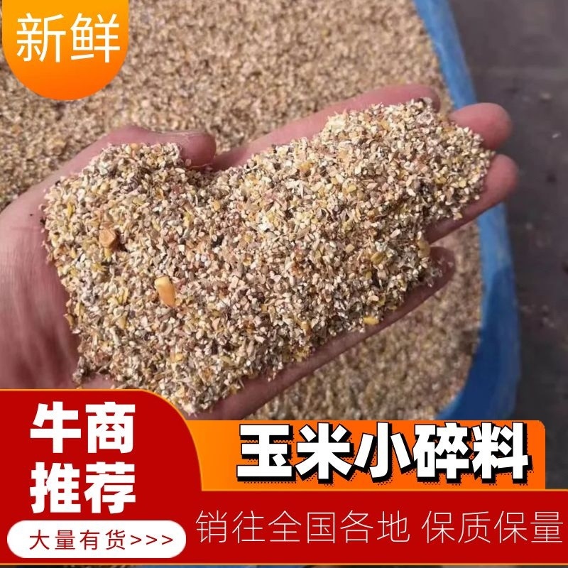 碎玉米大量供应河南产地直发可用作饲料量大价格优惠