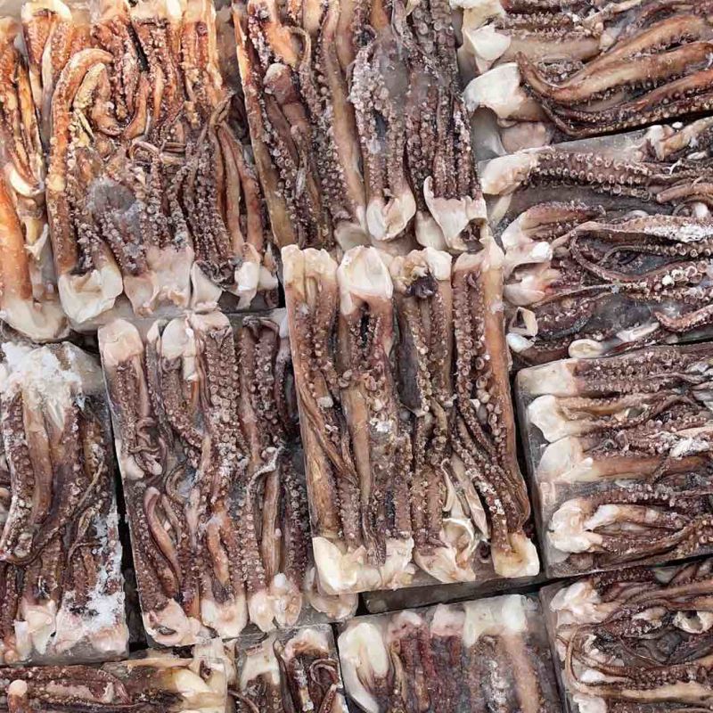 二本足鱿鱼须章鱼足烧烤火锅专用食材海鲜批发鱿鱼丝