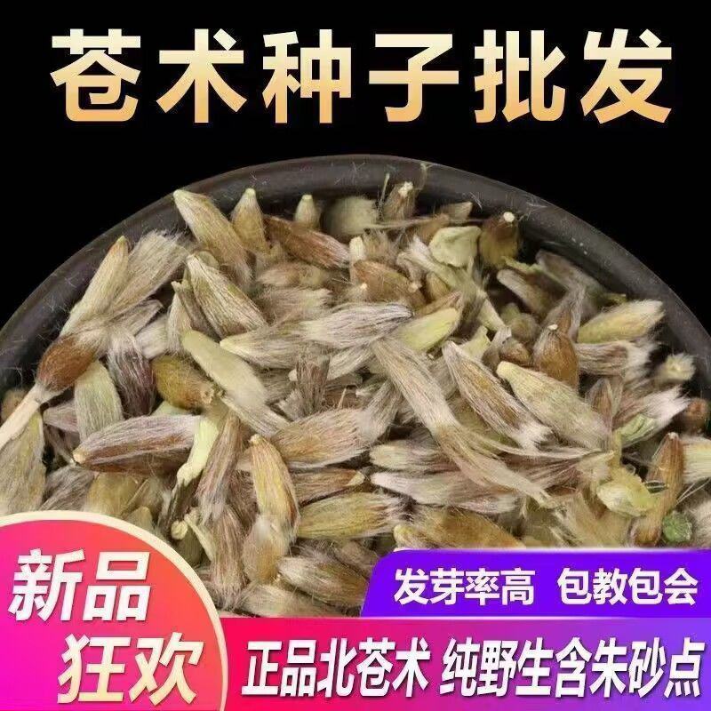 苍术种子南北方朱砂点苍术籽出芽率高品质保证欢迎老板来电