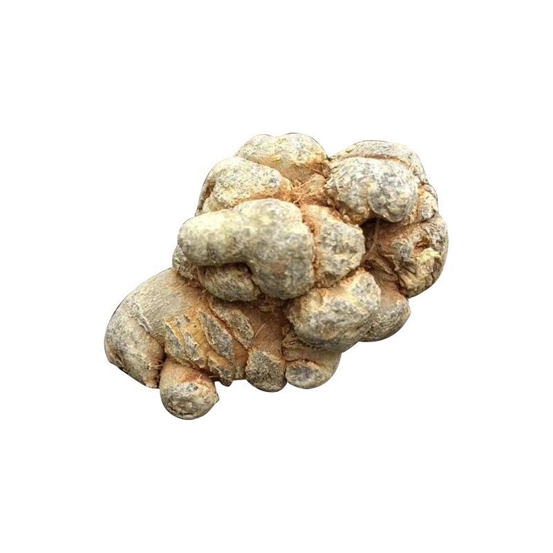 云南文山20头三七粉种植户自产自销田七粉细粉产地批发货源