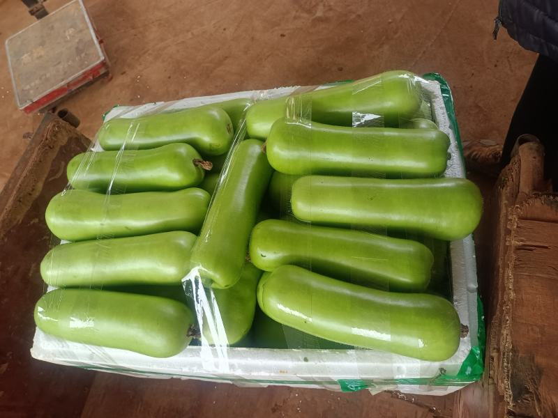 广东精品弧瓜