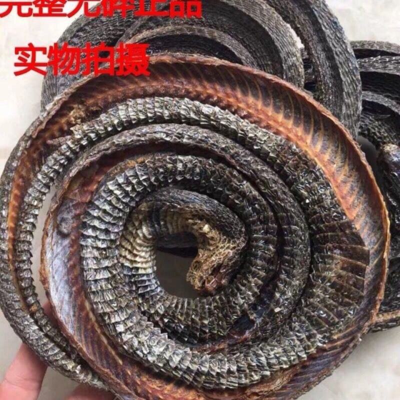 眼镜蛇干中药材眼镜蛇整条全开足龄老蛇通用散装