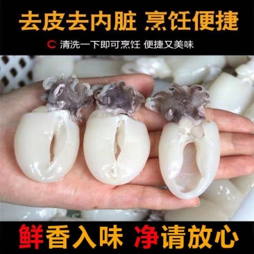 新鲜墨鱼仔海捕鲜活冷冻小乌贼章鱼仔捞汁墨鱼仔火锅食材批发