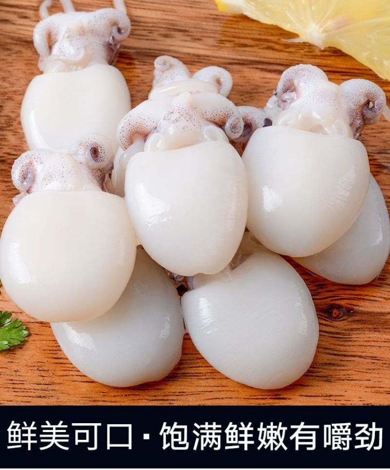 新鲜墨鱼仔海捕鲜活冷冻小乌贼章鱼仔捞汁墨鱼仔火锅食材批发