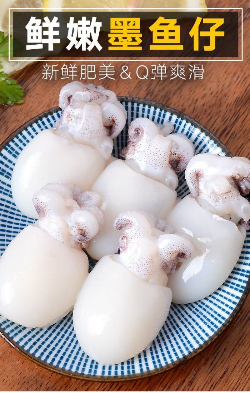 新鲜墨鱼仔海捕鲜活冷冻小乌贼章鱼仔捞汁墨鱼仔火锅食材批发