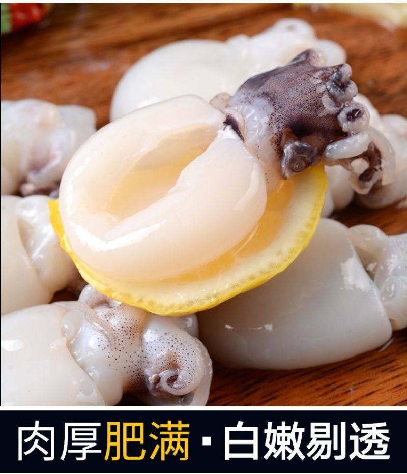 新鲜墨鱼仔海捕鲜活冷冻小乌贼章鱼仔捞汁墨鱼仔火锅食材批发