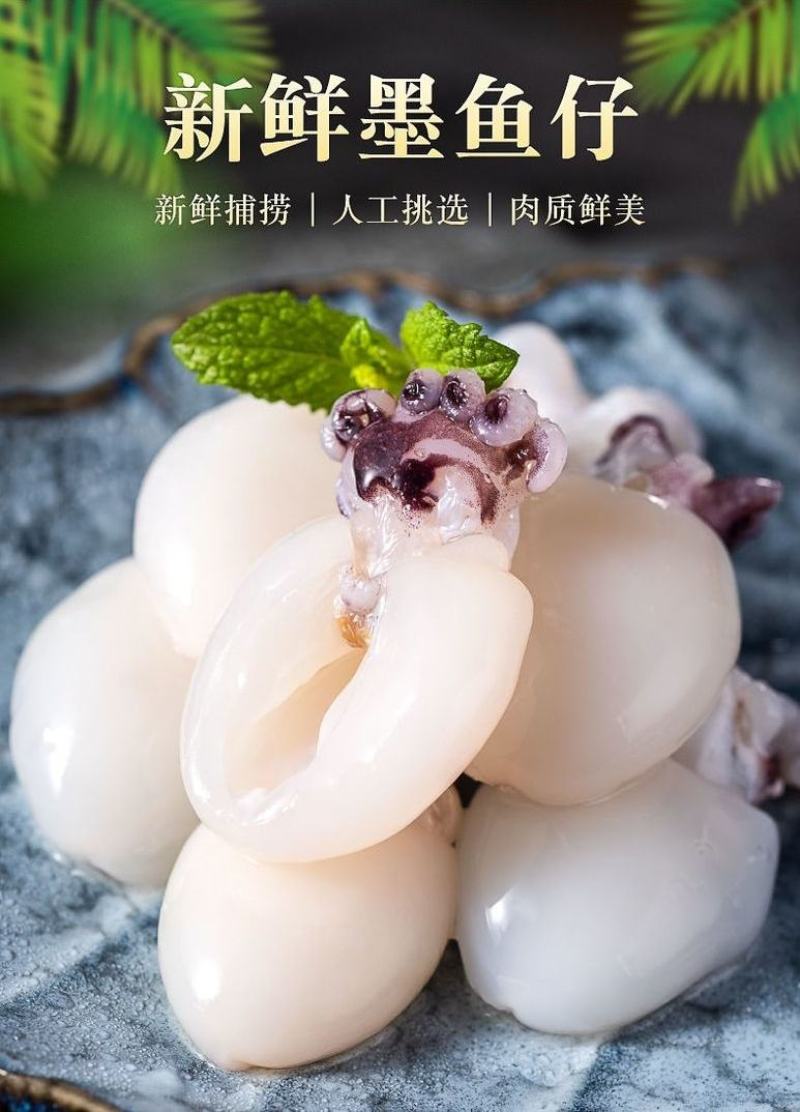 新鲜墨鱼仔海捕鲜活冷冻小乌贼章鱼仔捞汁墨鱼仔火锅食材批发