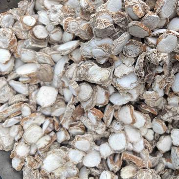 山奈正宗家用新货山奈粉砂姜姜粉香料卤肉三奈调料卤料