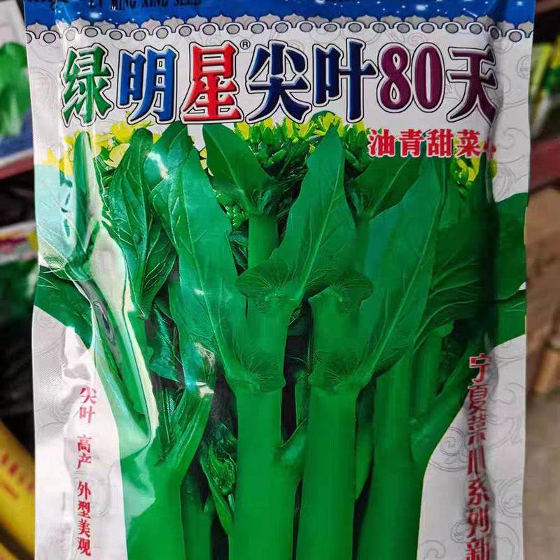 厂家直销80天春秋绿明星高产抗尖叶宁夏广东菜心种子耐开花