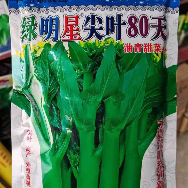 厂家直销80天春秋绿明星高产抗尖叶宁夏广东菜心种子耐开花