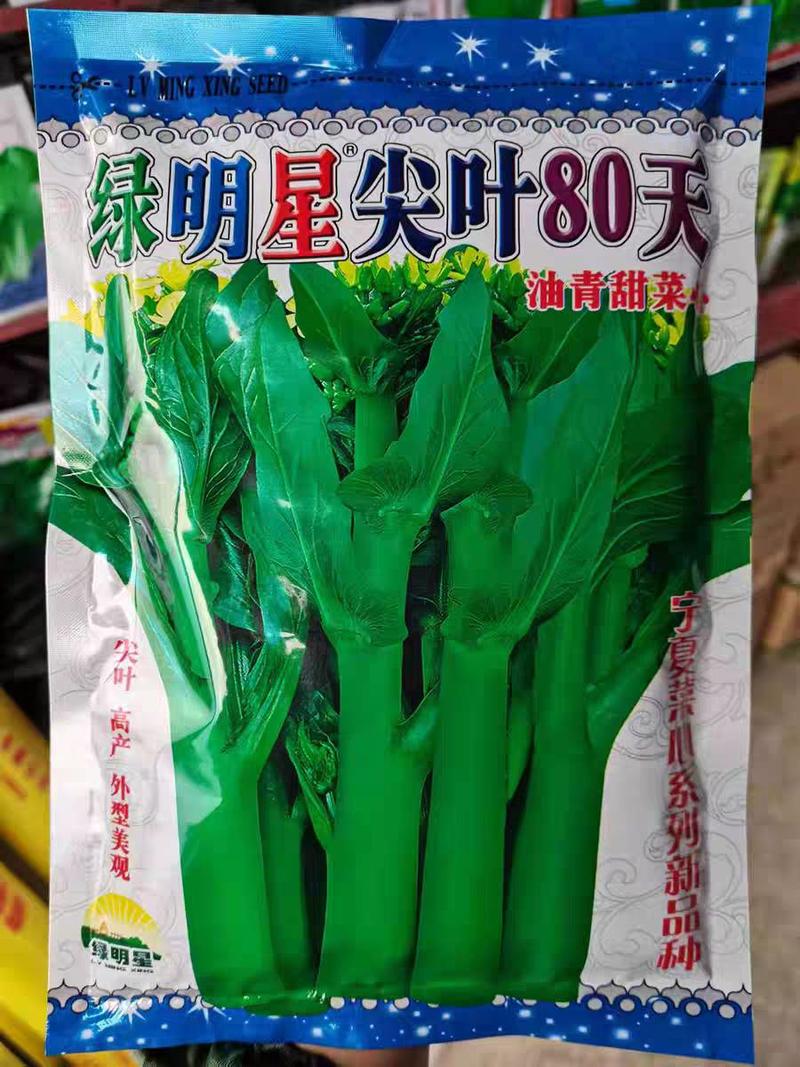 厂家直销80天春秋绿明星高产抗尖叶宁夏广东菜心种子耐开花