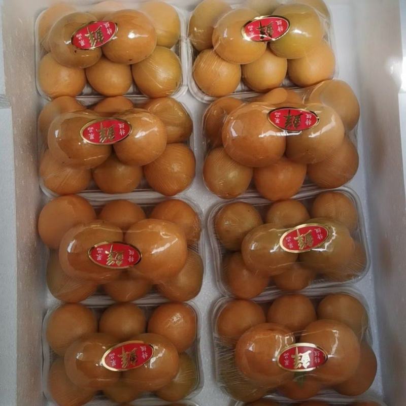 金太阳杏