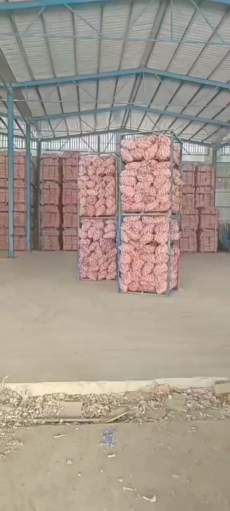 金乡太空大蒜