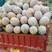 蜜本南瓜黄坭陂地种植大量供应有4斤，5斤，6斤起供应欢迎