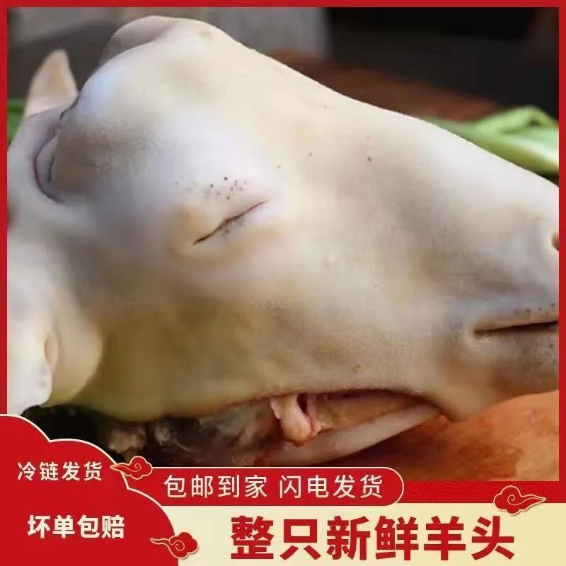 清真新鲜羊头整只头羊带皮冷冻新鲜生羊头整个带皮羊头生鲜羊