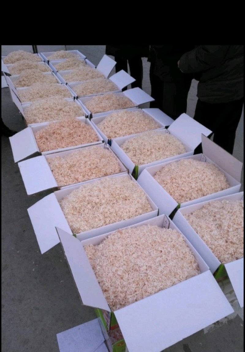 【推荐】精品虾皮，水产干货，淡干淡盐，全国发货对接大型商超