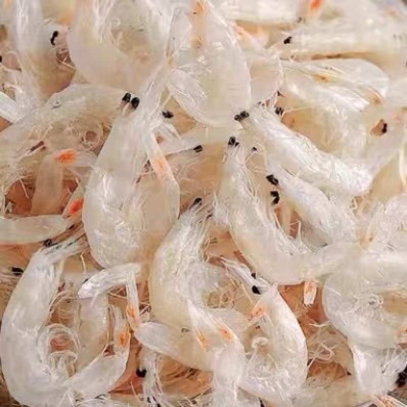 【推荐】精品虾皮，水产干货，淡干淡盐，全国发货对接大型商超