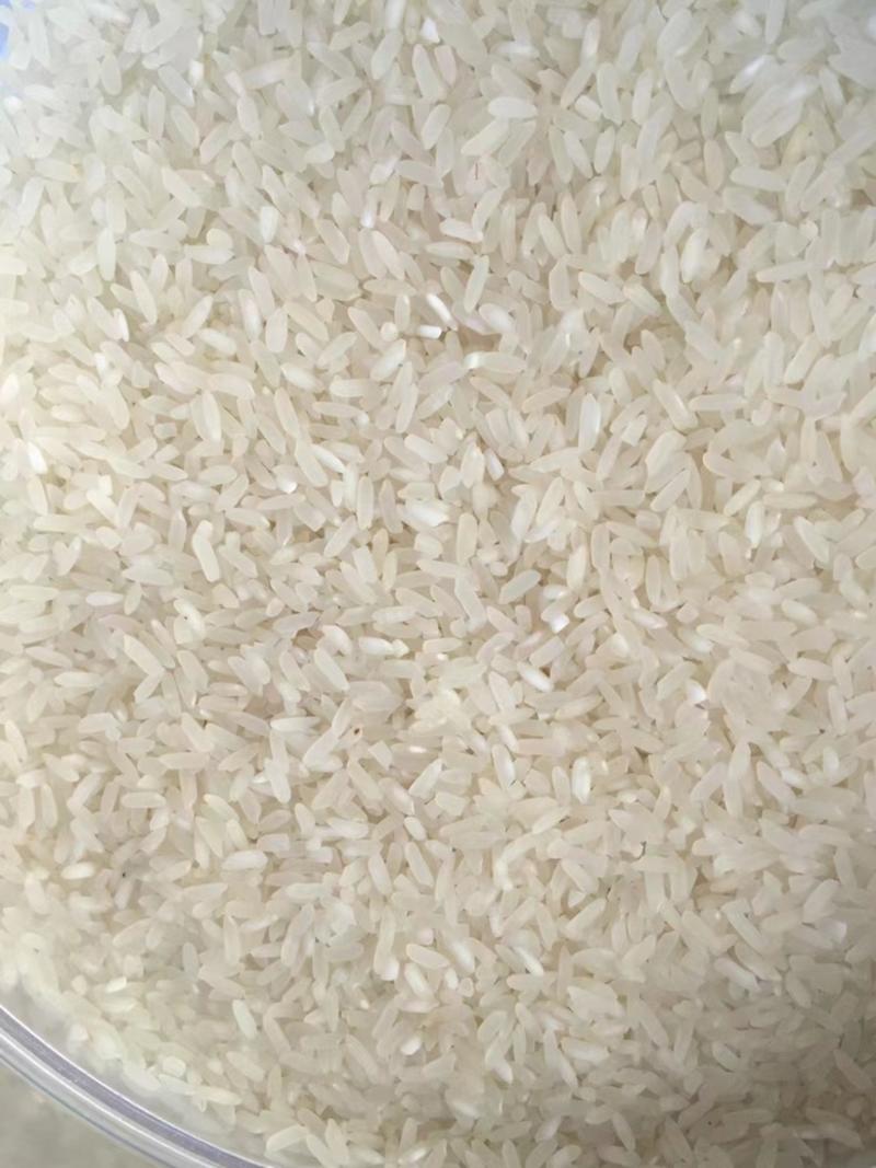 碎米碎大米大量现货毛碎精碎货源稳定全国供应