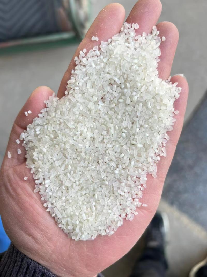碎米碎大米大量现货毛碎精碎货源稳定全国供应