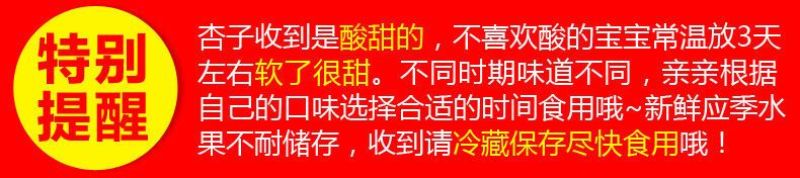 包邮【现摘现发】杏子水果新鲜应季酸甜陕西大黄杏现摘金太阳