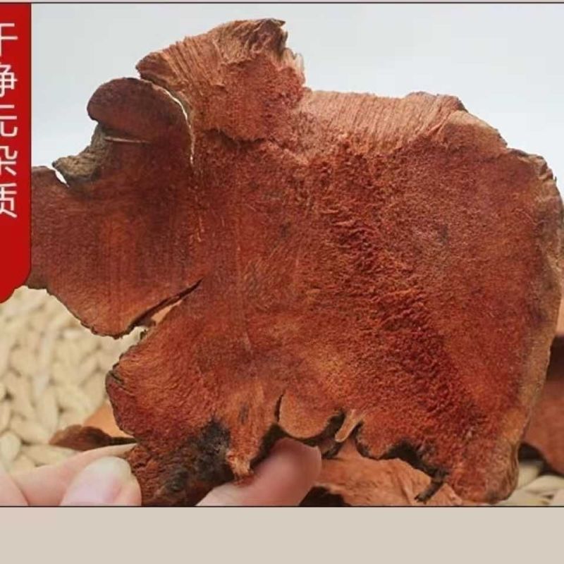 正宗野生土茯苓中药材新鲜干货广西广东煲汤料泡水泡酒批发