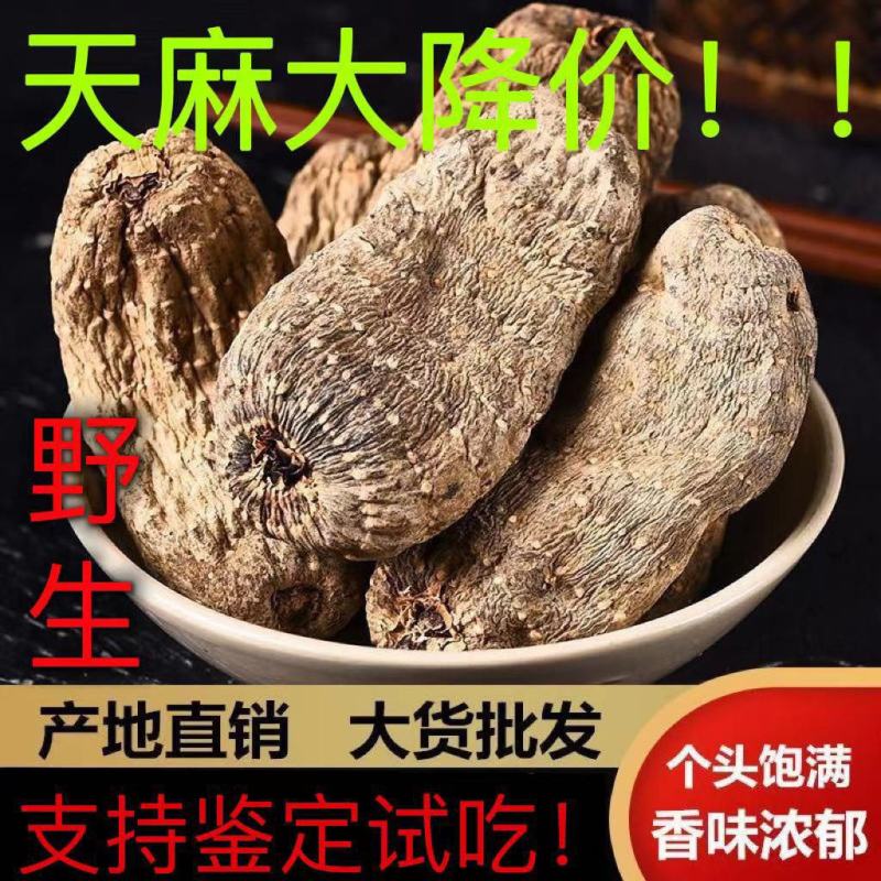 云南昭通野生小草坝黑乌天麻干货云南特产批发价中药材天麻片