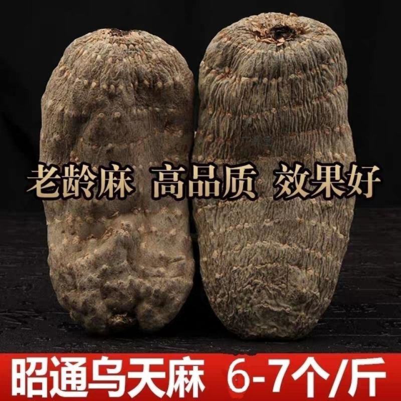 云南昭通野生小草坝黑乌天麻干货云南特产批发价中药材天麻片