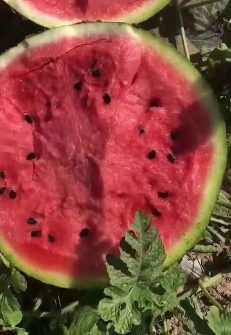 西瓜