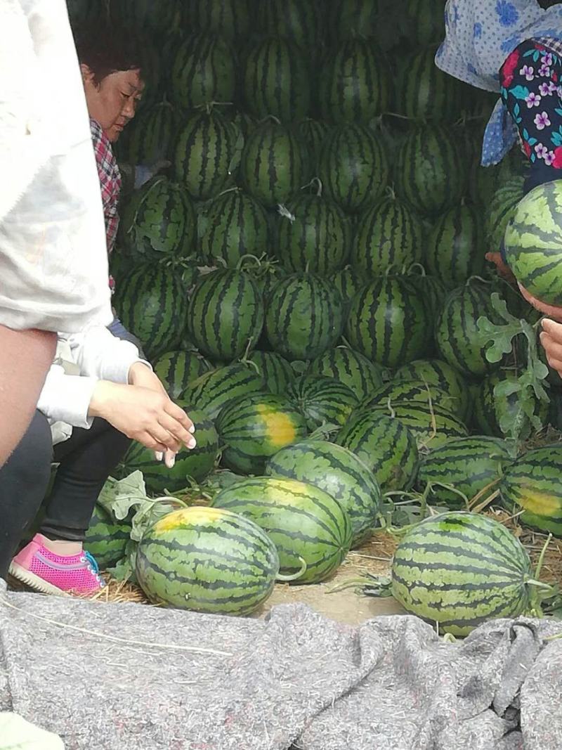 西瓜
