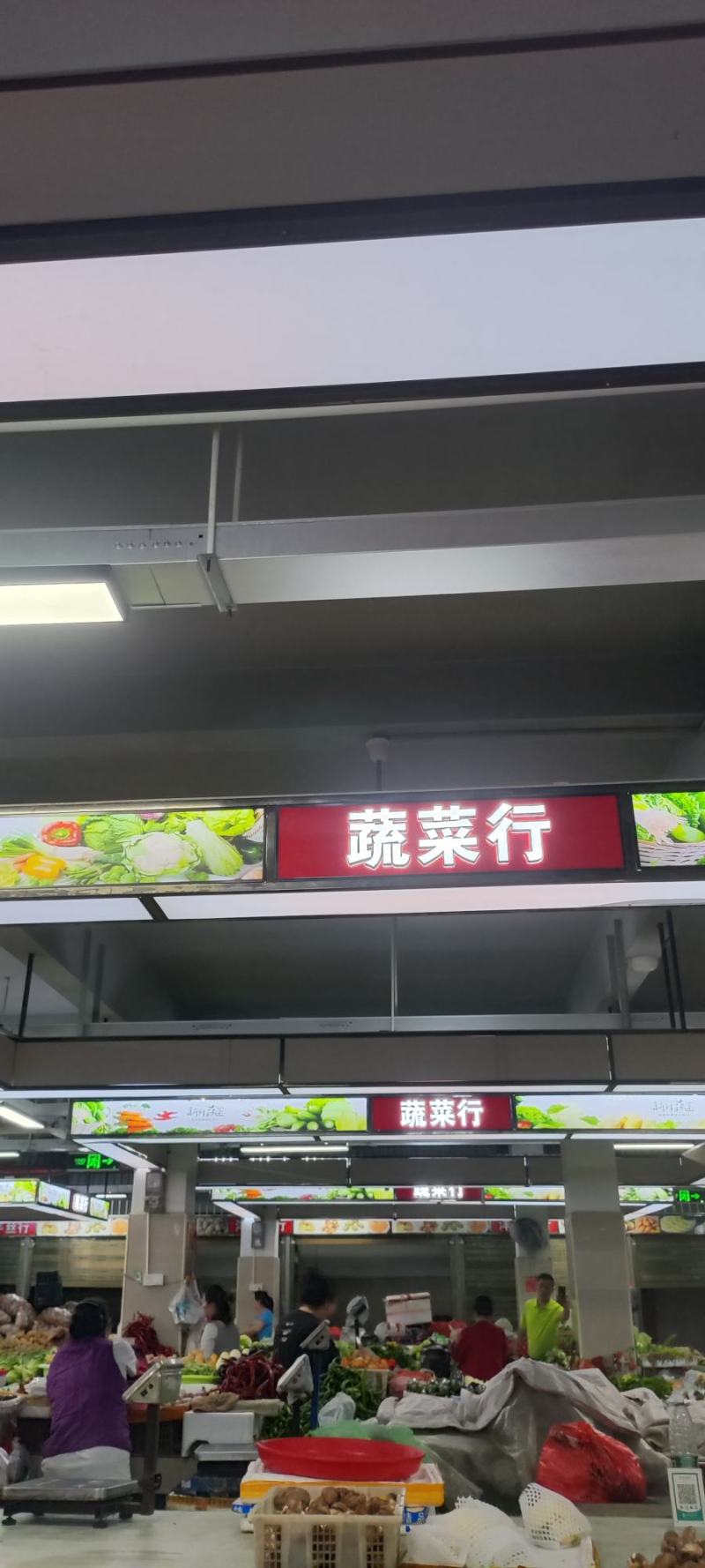 鱼腥草