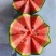 【实力热卖】全美2K小糖丸西瓜🍉皮薄多汁，红瓤黑籽。