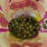 大量现货三华李10元每斤