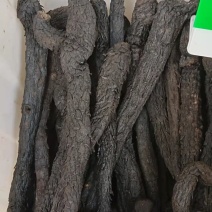 中药材肉苁蓉，野生肉苁蓉