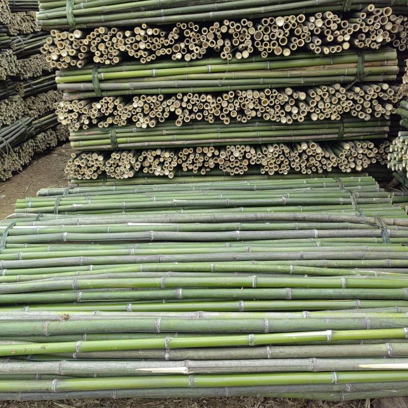 精选竹竿旗杆竹产地直销菜架豆角架西红柿架黄瓜架果蔬竹竿架