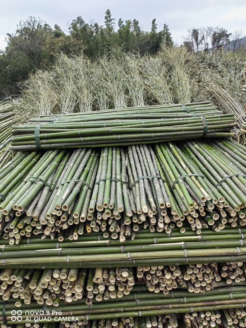 精选竹竿旗杆竹产地直销菜架豆角架西红柿架黄瓜架果蔬竹竿架