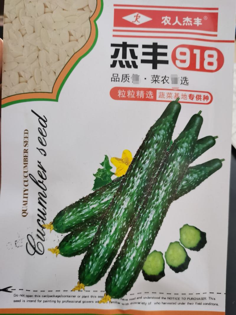 杰丰625️强雌黑油亮杰丰918杂交种耐低温高温不易畸形