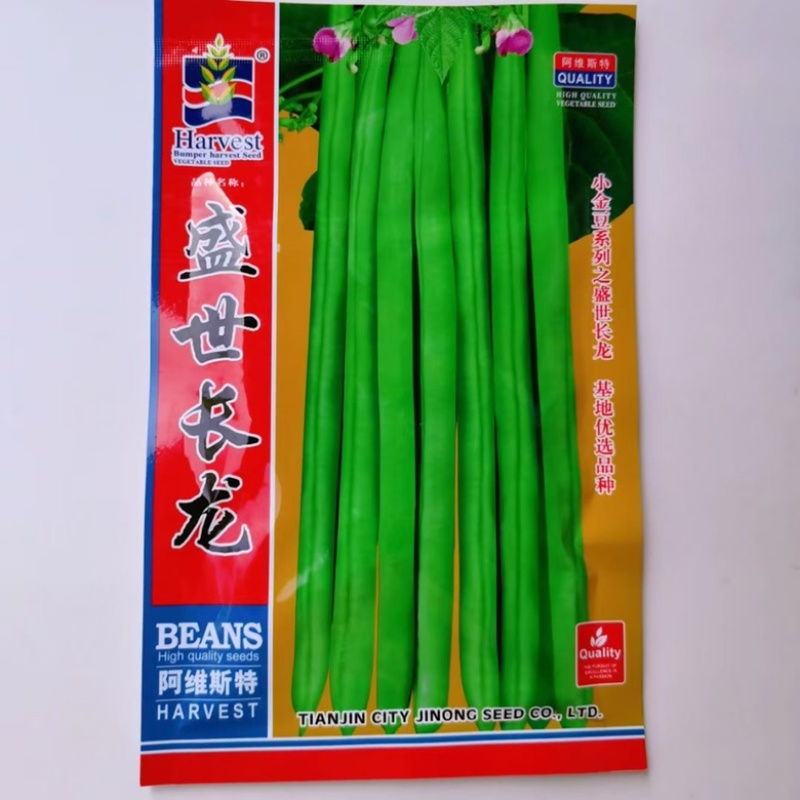 豇豆种子翠绿色品种