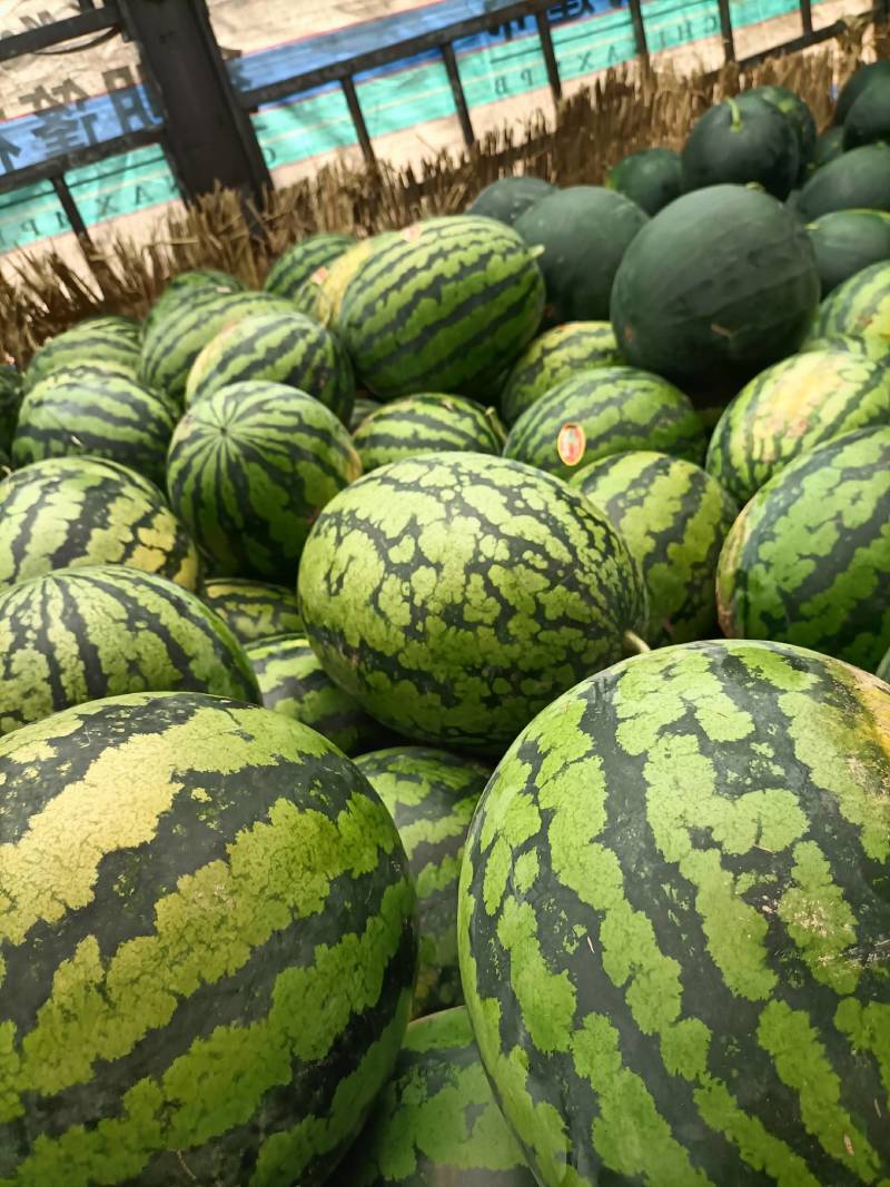 实力供货，陕西甜王大量上市，需要的联系