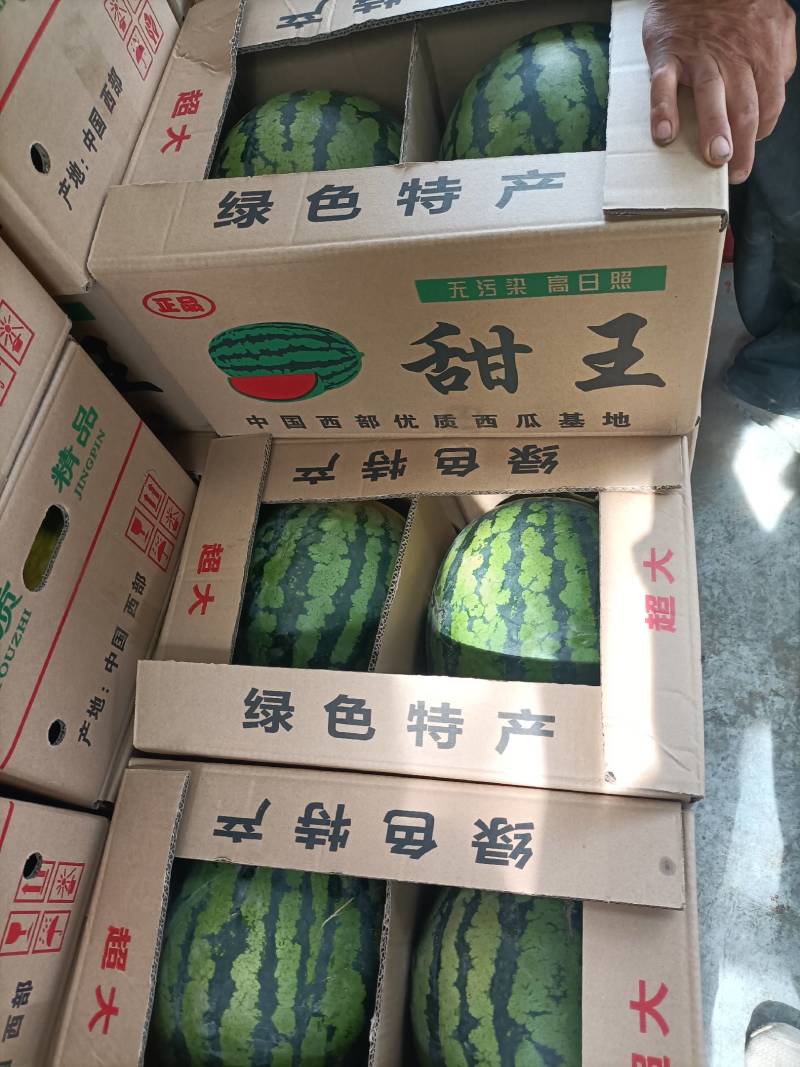 实力供货，陕西甜王大量上市，需要的联系