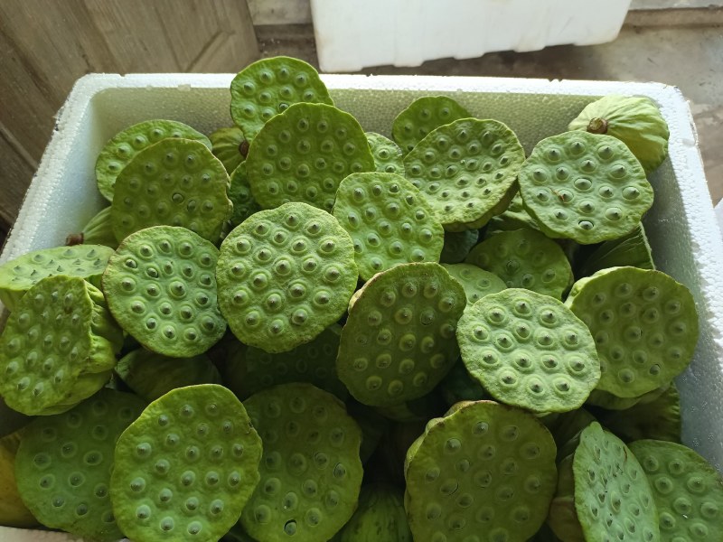白洋淀特产