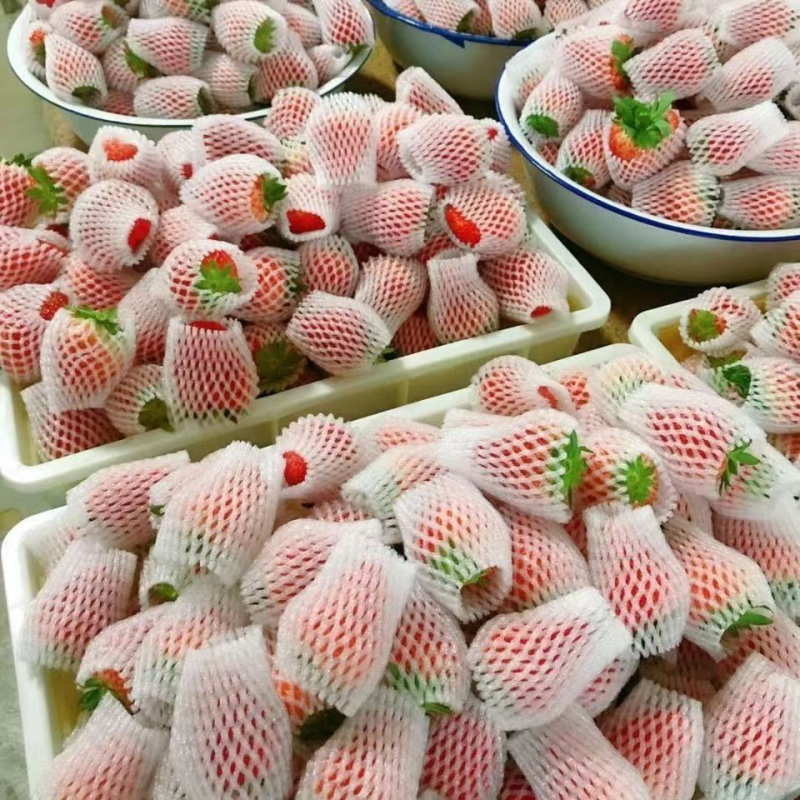 （网套散装畸形果，次果）四季商用草莓基地直发蒙特瑞