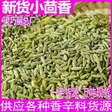 小茴香茴香籽卤料调味料小茴香粉小茴香子散装小茴香