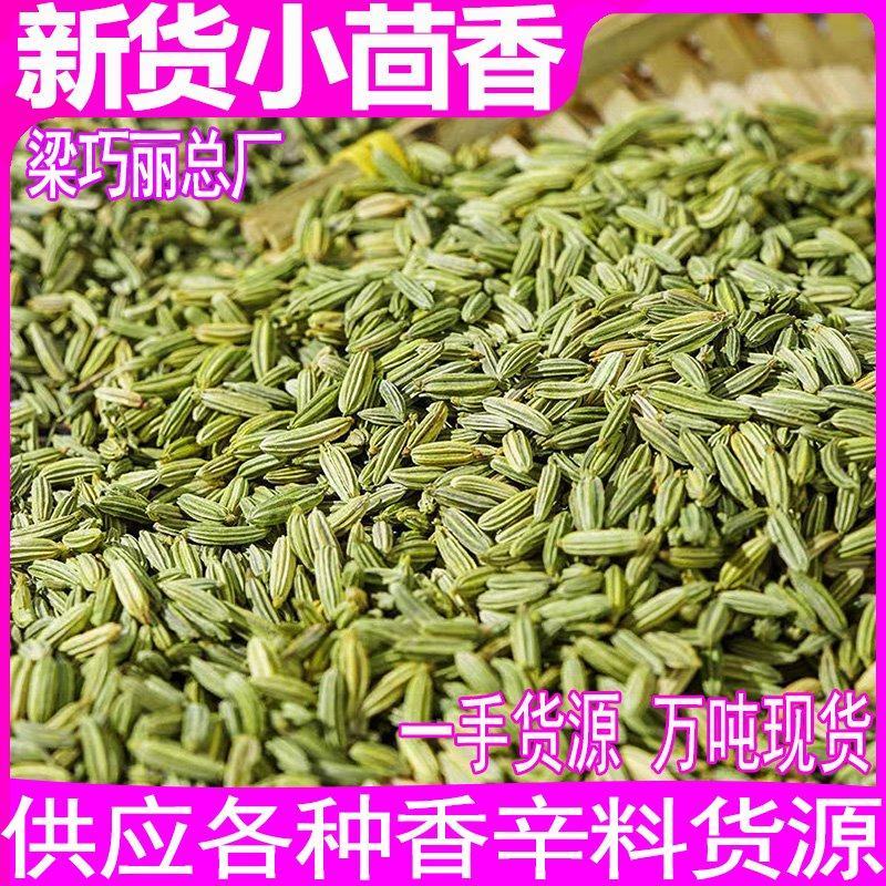 小茴香茴香籽卤料调味料小茴香粉小茴香子散装小茴香