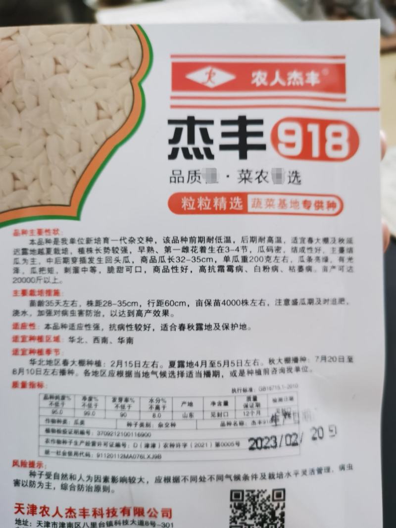 杰丰625️强雌黑油亮杰丰918杂交种耐低温高温不易畸形