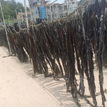 福建干海带无沙挂菜自厂自销