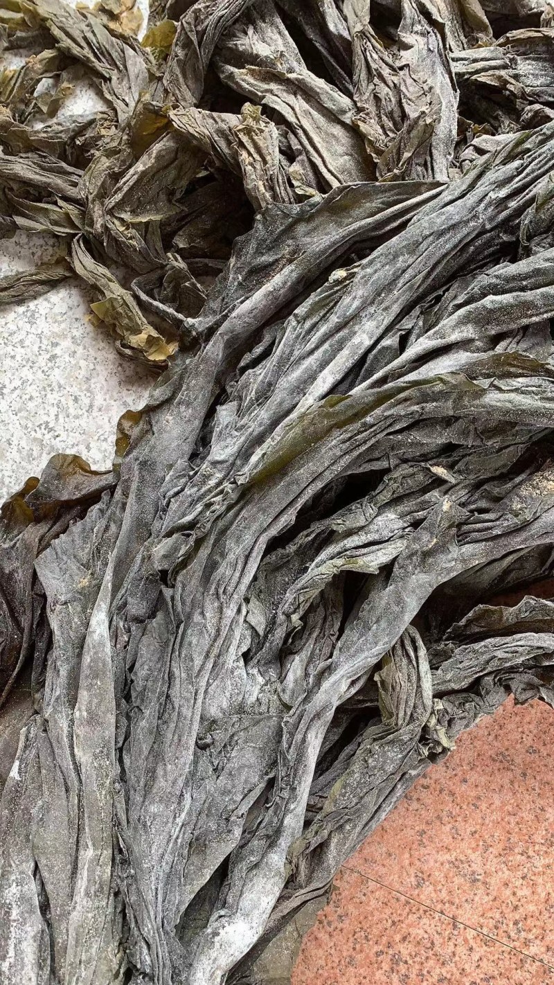 福建干海带无沙挂菜自厂自销