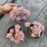 120彩虹糖整桩无砍，看桩子