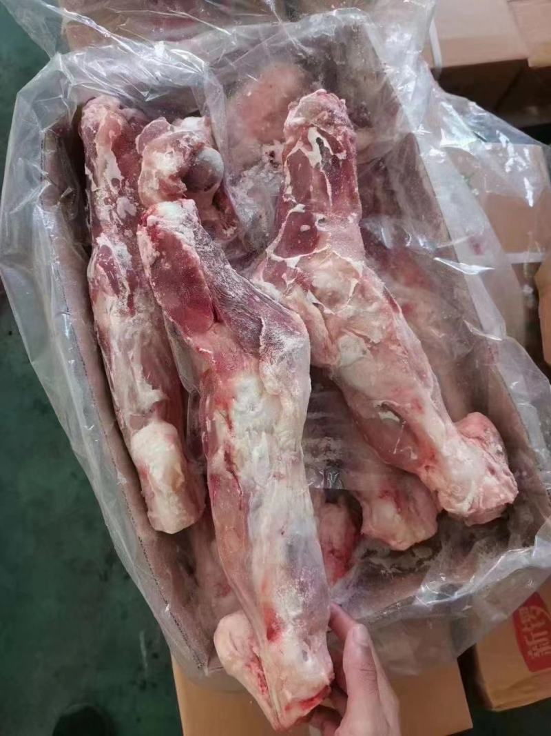 华宝后腿骨