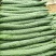大量好、中、差、黄瓜，红茄上市